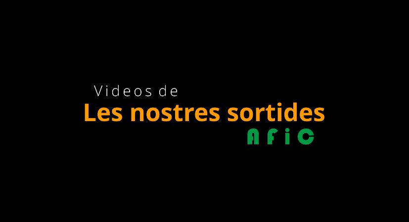 Sortides